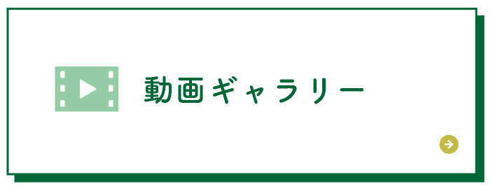 動画ギャラリー